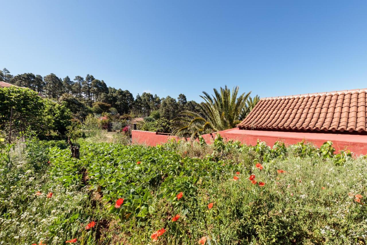 Casa Buganvillas, Reformado Puntagorda  Luaran gambar